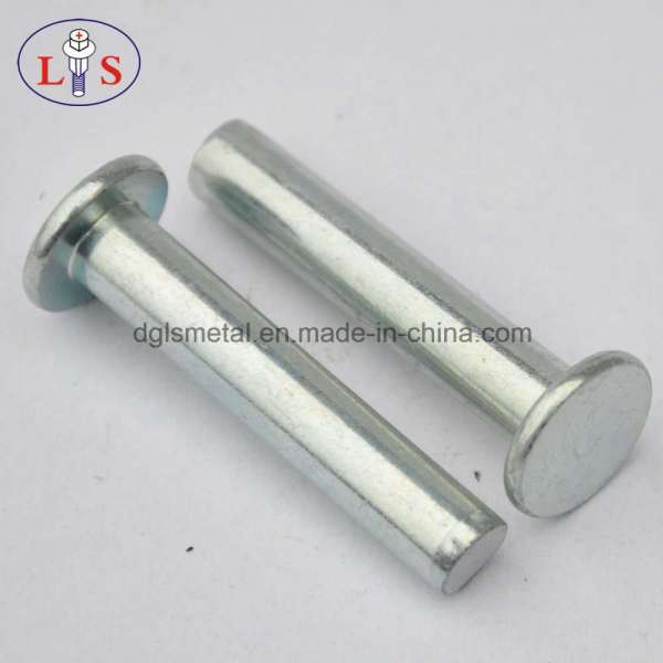 Flat Head Rivet/Hollow Rivet /Rivet with High Quality