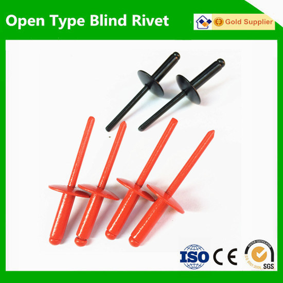 Guangzhou Rivet Supplier Large Head Colored Rivets